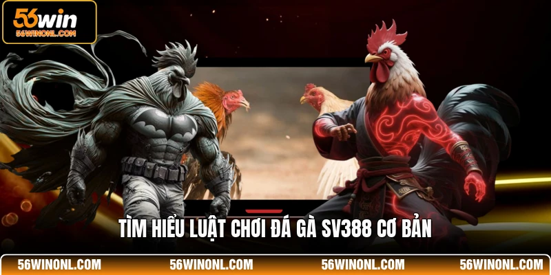 Luật Chơi Đá Gà SV388 - Cẩm Nang Cho Thành Viên 56WIN 2 Tìm hiểu luật chơi đá gà SV388 cơ bản